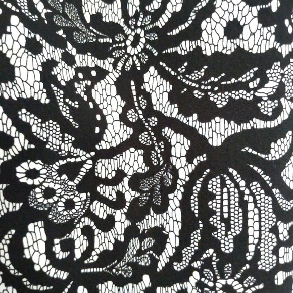 XS Jacob Lace Print Dress - Picture 3 of 4